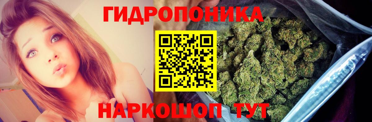 Конопля SATIVA & INDICA  Вход с VPN  Марихуана LSD WEED  Гагарин  Бошки марихуана OG Kush 